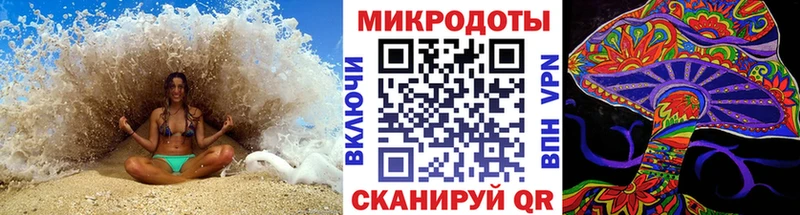 Псилоцибиновые грибы прущие грибы  где купить наркотик  Пласт 
